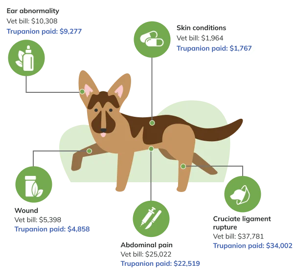 Price Factor Infographic Desktop