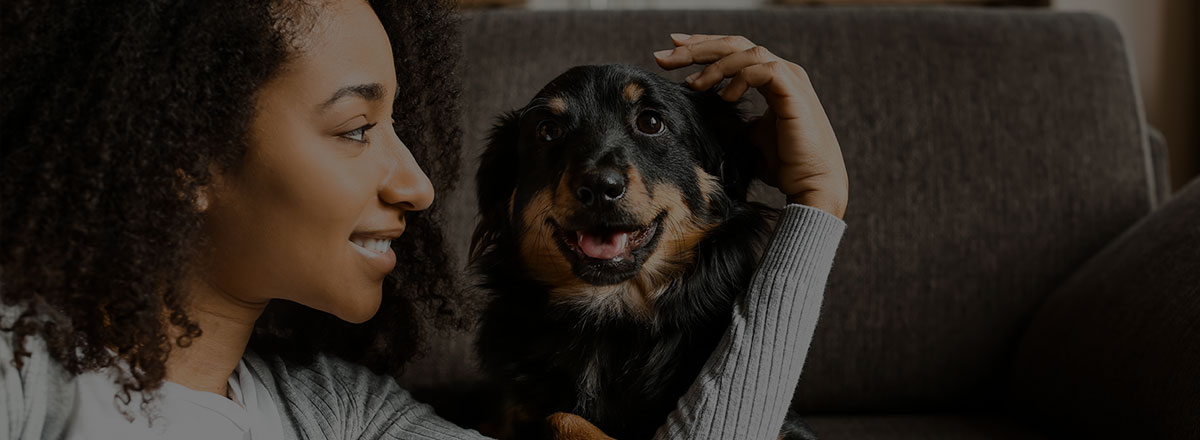 dog-care-woman-with-black-dog-fill