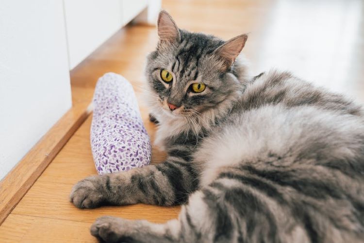 fluffy-cat-cuddling-pillow-toy