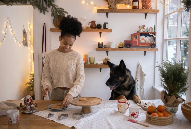 A german shepherd looking at cookies with female pet owner in a kitchen decorated for Christmas.