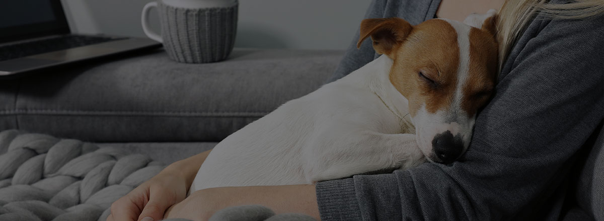 health-safety-cuddling-dog-fill