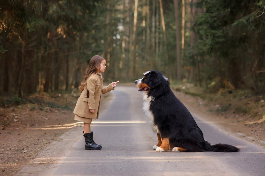 A large dog with a little girl on a path.