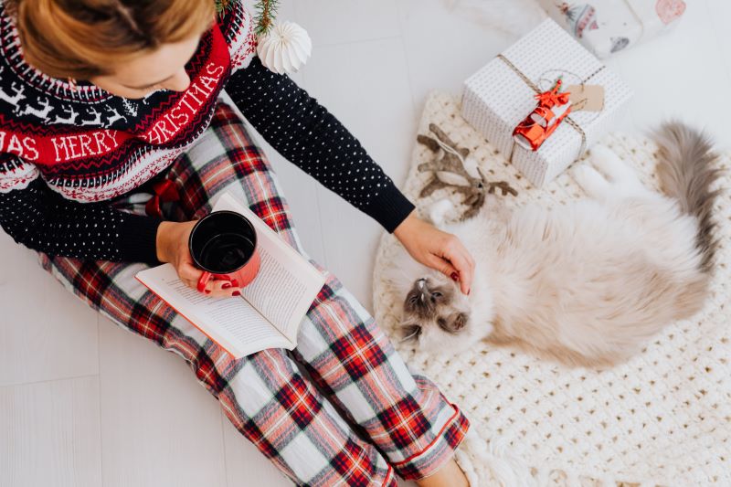 2025 Holiday Gift Guide for Dogs, Cats & Pet Owners