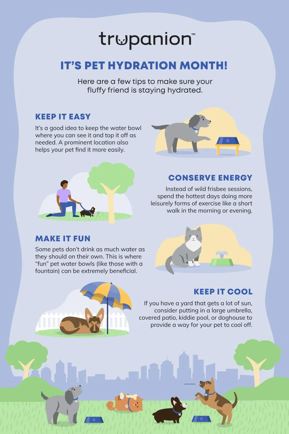 A list of tips to keep pets hydrated during national pet hydration month.