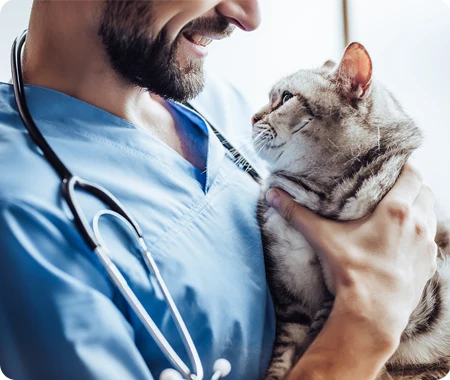 vet holding a cat