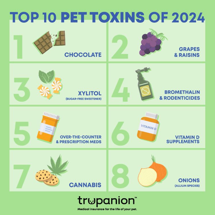 Top pet toxins chart for dogs and cats from Trupanion pet insurance claims data.