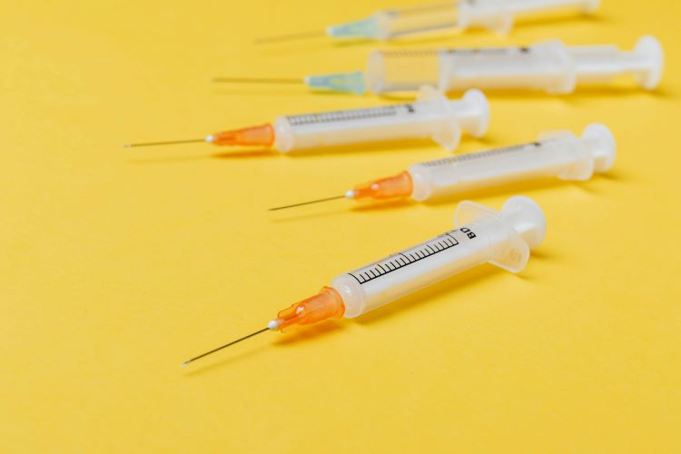 A row of empty veterinary syringes used for pet vaccinations.