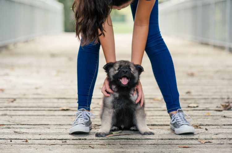 woman-boardwalk-puppy