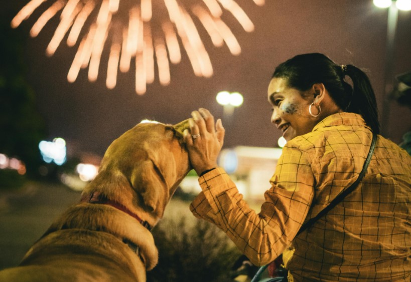 Fireworks & Pets: Tips to Prevent Disaster
