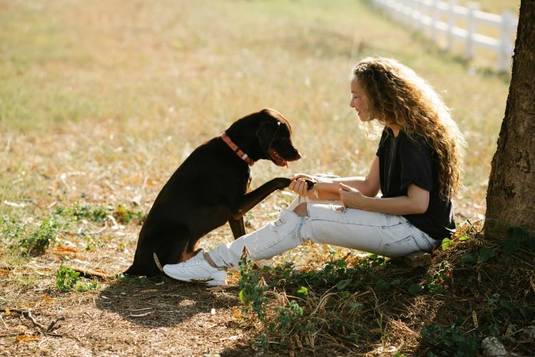 Pet owner with long hair outdoors shaking paw of dog who needs tick prevention care.