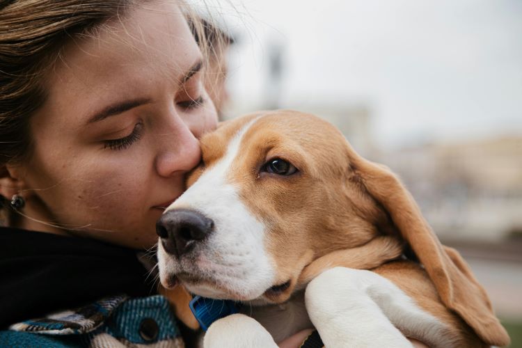 woman-kissing-beagle