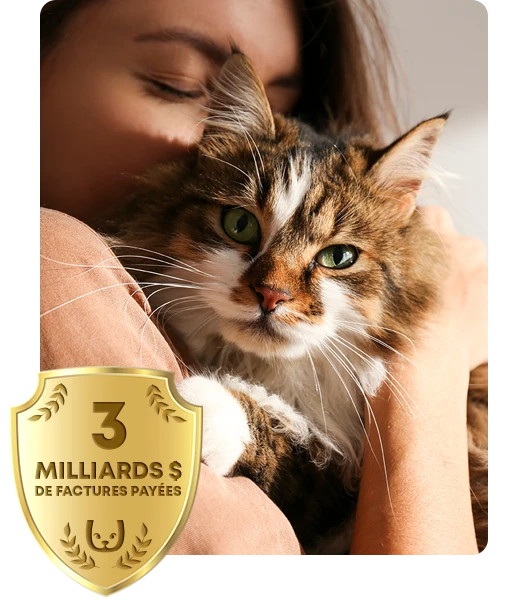 Femme câlinant un chat duveteux