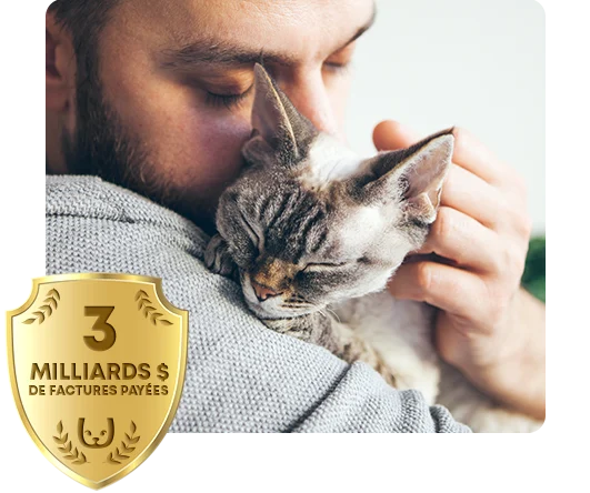 Un homme blottissant un chat.