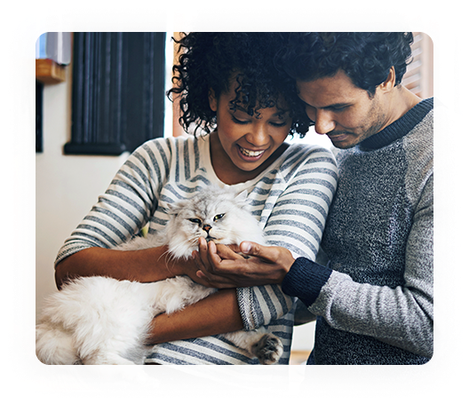 A couple snuggles their white long-haired cat