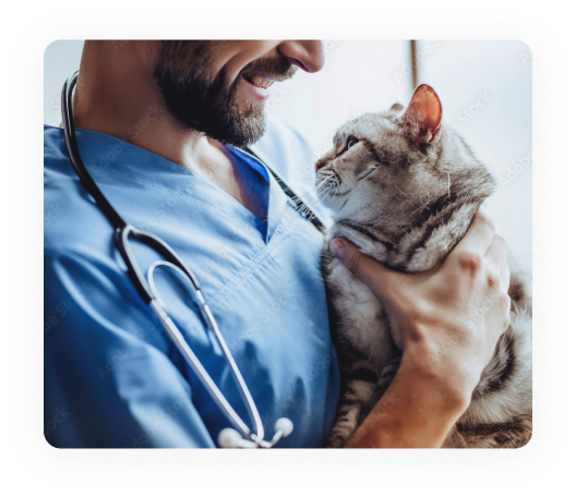 Stocksy comp watermarked