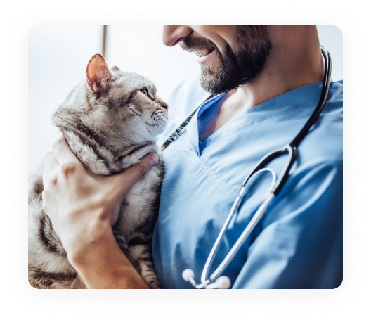 unlimited-pet-coverage