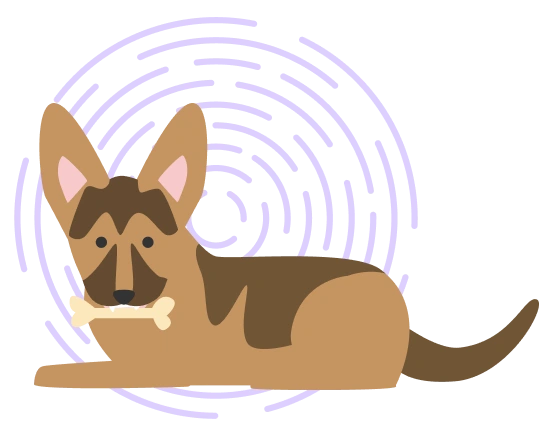 Illustration of a dog with a bone in its mouth ready for the best dog insurance plan