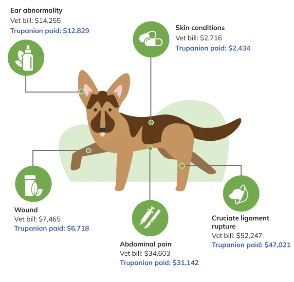 Price Factor Infographic Desktop