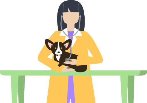 drawing of vet with a dog