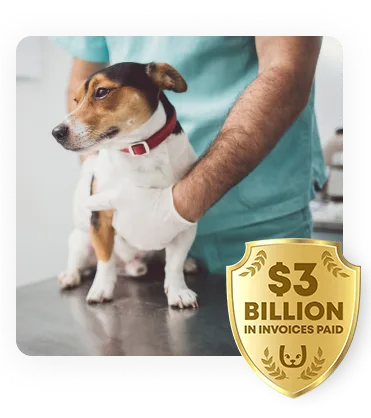 dog with vet and badge of 2 billion dollars in invoices paid