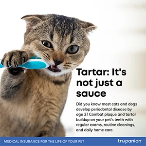 Tartar: it's not just a sauce