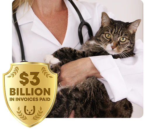 A vet holding a cat with the 3 billion badge in the corner