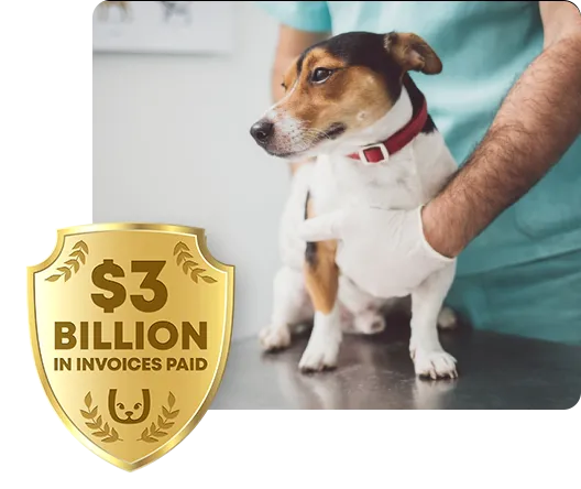 dog with vet and badge of 2 billion dollars in invoices paid