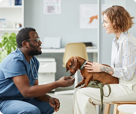 A dog in a woman's lap meeting a veterinarian
