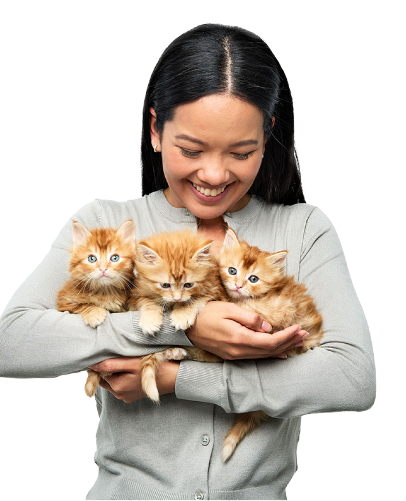 edo-corgi-greenbg-650 image 16