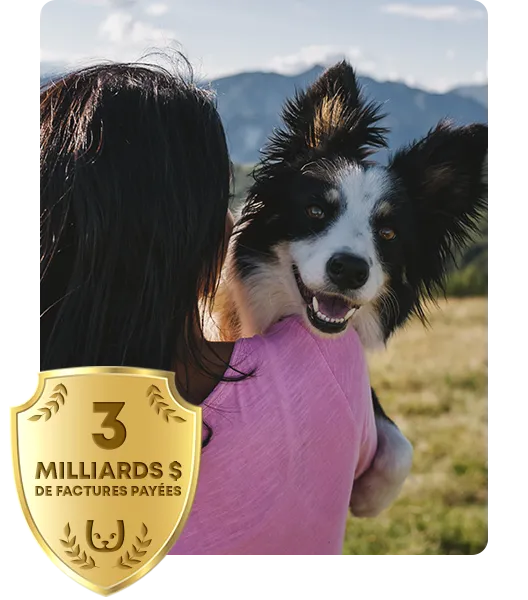 owner patting dalmatian at a hike