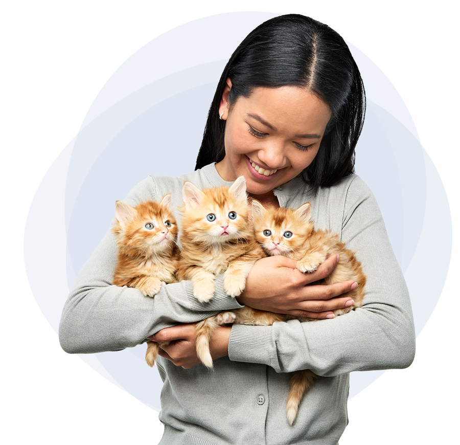 hero-affiliates-woman-kittens