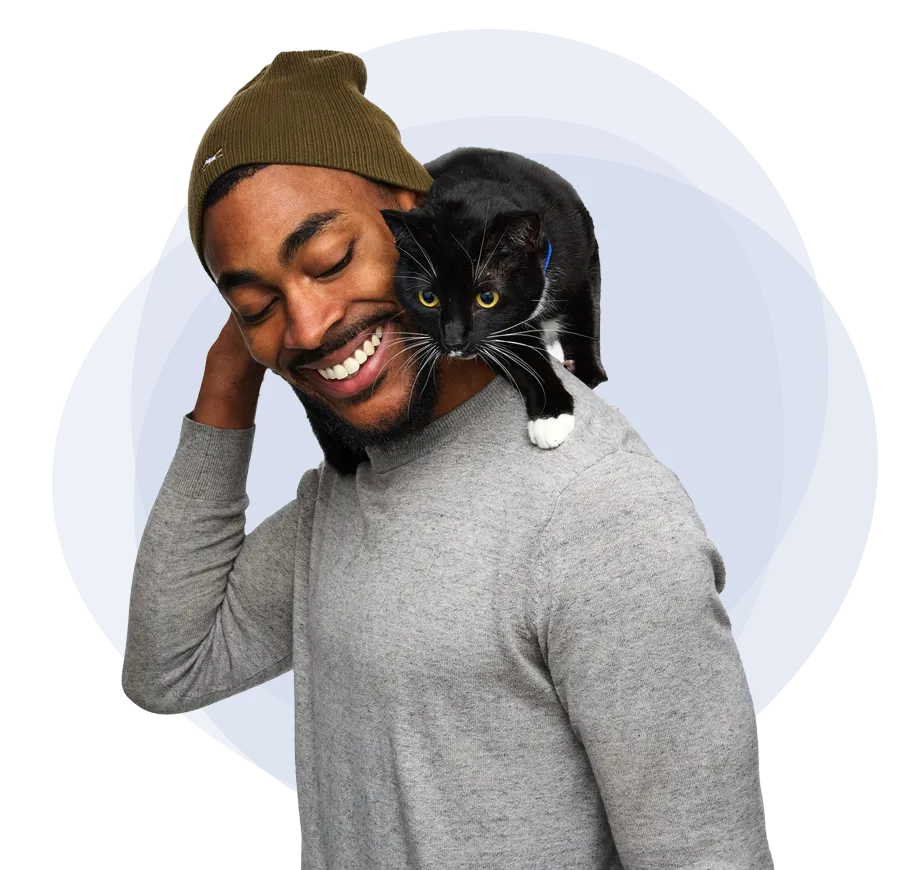 A man with a black and white cat on his shoulders looking to compare pet insurance companies.