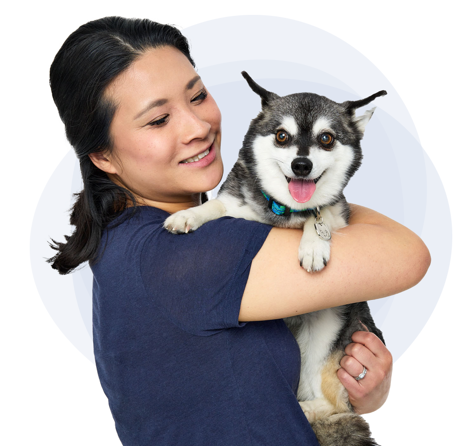 Tell us health my pet