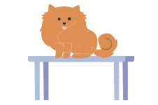 A dog in front of a bowl of food