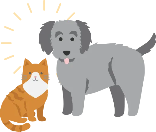 Illustration of an orange cat and a grey dog