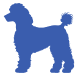 Poodle icon