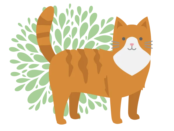 orange-cat-burst-illus-596x448