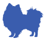 Pomeranian icon