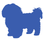 Shih Tzu icon