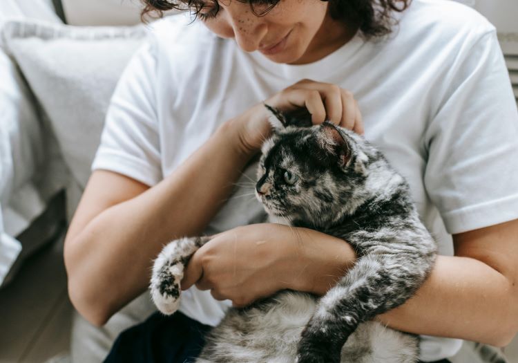 A female pet owner in a white T-shirt holding a gray and black tortoiseshell cat.