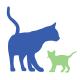 cat and kitten
