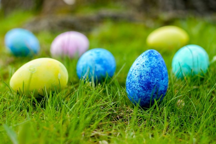 Easter Hazards for Pets: What to Watch For Beyond Chocolate