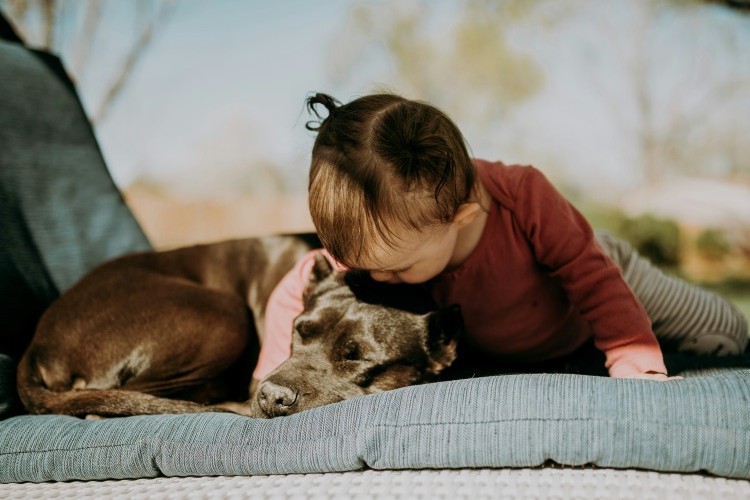 toddler hugging sleeping dog
