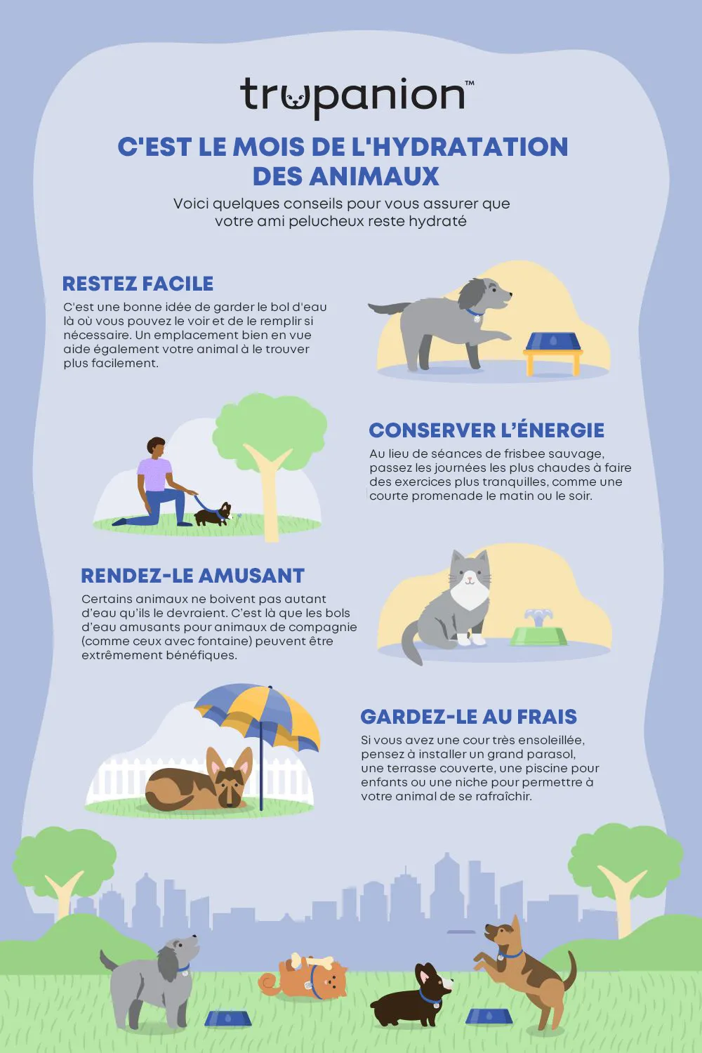 Une liste de conseils pour garder les animaux de compagnie hydratés pendant le mois national de l'hydratation des animaux de compagnie.