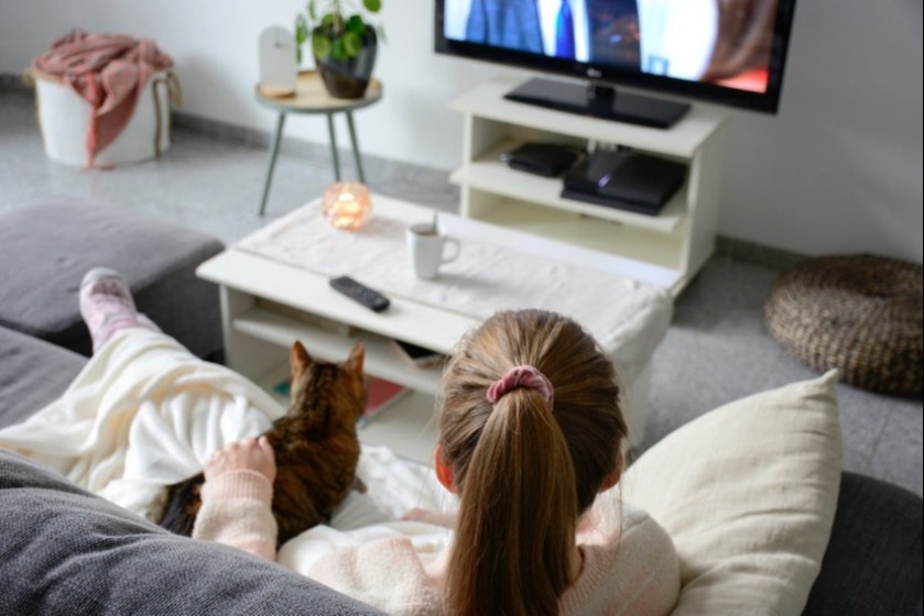 A female pet owner sitting with a cat on the couch watching TV together.